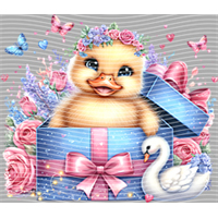 Valentine's Day-QRJ  4446